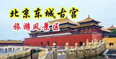 半夜男女爆操中国北京-东城古宫旅游风景区